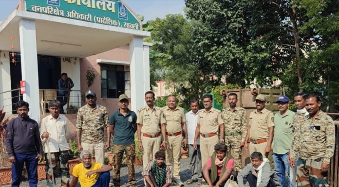 पक्षी सप्ताहादरम्यान पक्ष्यांची शिकार : सावली वनपरिक्षेत्राची धडक कारवाई