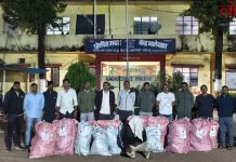 गडचिरोलीत 1 कोटी 19 लाखांचा गांजा जप्त