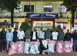 गडचिरोलीत 1 कोटी 19 लाखांचा गांजा जप्त