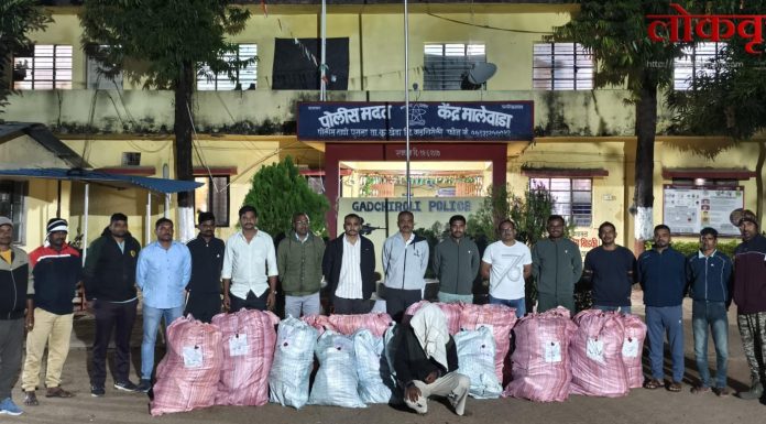 गडचिरोलीत 1 कोटी 19 लाखांचा गांजा जप्त
