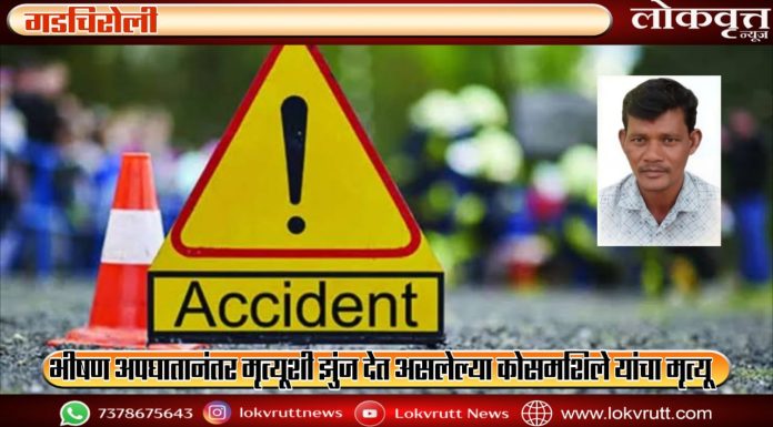 गडचिरोली : भीषण अपघातानंतर मृत्यूशी झुंज देत असलेल्या कोसमशिले यांचा मृत्यू