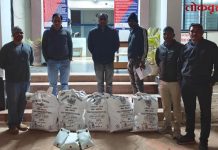 स्थानिक गुन्हे शाखेची धडक कारवाई ; १५.१९ लाखांचा गांजा जप्त