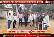 घोट वनपरिक्षेत्रात सागवान तस्करी उघड ; सुमारे १९ लाखांचा मुद्देमाल जप्त