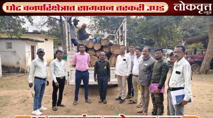 घोट वनपरिक्षेत्रात सागवान तस्करी उघड ; सुमारे १९ लाखांचा मुद्देमाल जप्त