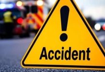 भरधाव वाहनाने नीलगाईला उडवले