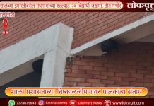 गडचिरोली : शाळेच्या इमारतीवरील मधमाशांच्या हल्ल्यात २० विद्यार्थी जखमी, तीन गंभीर