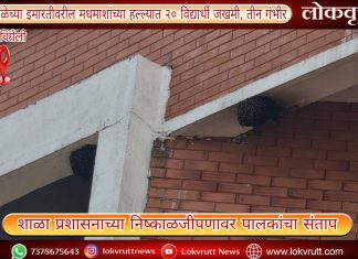 गडचिरोली : शाळेच्या इमारतीवरील मधमाशांच्या हल्ल्यात २० विद्यार्थी जखमी, तीन गंभीर