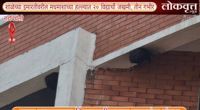 गडचिरोली : शाळेच्या इमारतीवरील मधमाशांच्या हल्ल्यात २० विद्यार्थी जखमी, तीन गंभीर