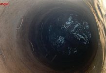 विहिरीत पडलेल्या गायीसाठी तरुणांचे धाडसी रेस्क्यू : अवघ्या १० मिनिटांत जीवदान