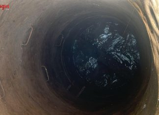 विहिरीत पडलेल्या गायीसाठी तरुणांचे धाडसी रेस्क्यू : अवघ्या १० मिनिटांत जीवदान