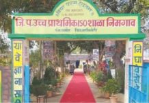 यशाचे ‘निमगाव’ मॉडेल! जिल्हा परिषद शाळेची जिल्ह्यात प्रथम क्रमांकाची भरारी