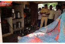 कारल्याची भाजी वरून वाद ; आईची केली हत्या