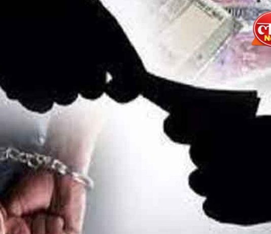 जात पडताळणी प्रमाणपत्रासाठी लाच, कंत्राटी कर्मचारी एसीबीच्या जाळ्यात