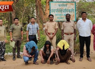 अवैध सागवान-बिजा चिरान प्रकरण : आरोपींना 10 एप्रिलपर्यंत न्यायालयीन कोठडी