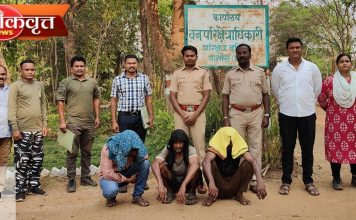 अवैध सागवान-बिजा चिरान प्रकरण : आरोपींना 10 एप्रिलपर्यंत न्यायालयीन कोठडी