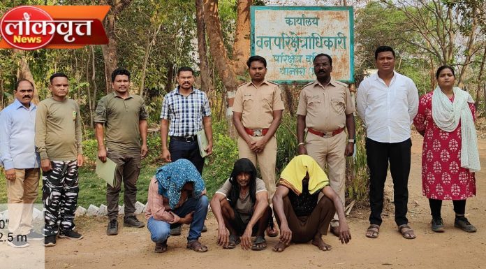 अवैध सागवान-बिजा चिरान प्रकरण : आरोपींना 10 एप्रिलपर्यंत न्यायालयीन कोठडी