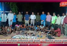 आलापल्ली वनपरिक्षेत्रात वनविभागाच्या धडक कारवाई : १२ शिकारीच्या आवळल्या मुसक्या