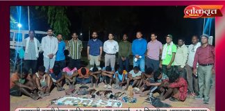 आलापल्ली वनपरिक्षेत्रात वनविभागाच्या धडक कारवाई : १२ शिकारीच्या आवळल्या मुसक्या
