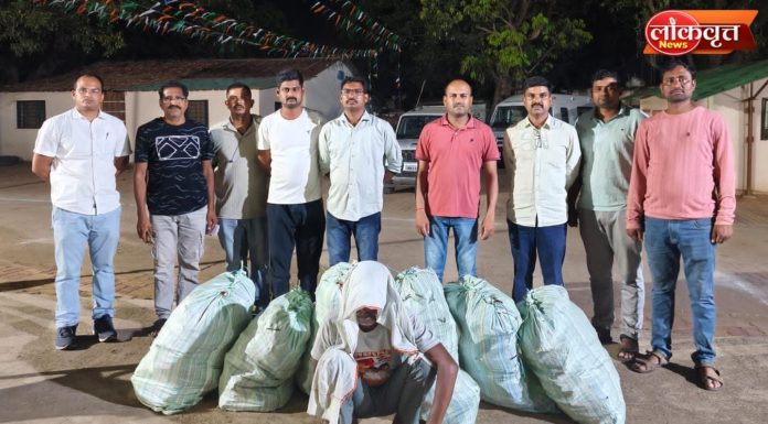 शेतात गांजाची शेती, २७ लाखांचा माल जप्त