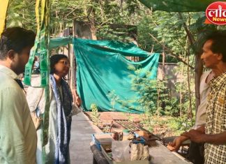 जागतिक तंबाखू विरोधी दिनानिमित्त गडचिरोलीत धडक कारवाई