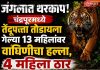 चंद्रपूर हादरले! तेंदूपत्ता तोडणीदरम्यान वाघाचा हल्ला, चार महिला ठार