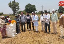 रानटी हत्तीच्या हल्ल्याने उद्ध्वस्त शेतीची काँग्रेस जिल्हाध्यक्षांकडून पाहणी