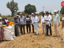 रानटी हत्तीच्या हल्ल्याने उद्ध्वस्त शेतीची काँग्रेस जिल्हाध्यक्षांकडून पाहणी