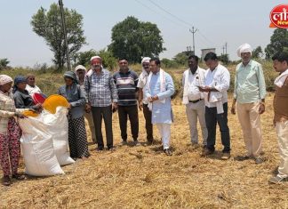 रानटी हत्तीच्या हल्ल्याने उद्ध्वस्त शेतीची काँग्रेस जिल्हाध्यक्षांकडून पाहणी