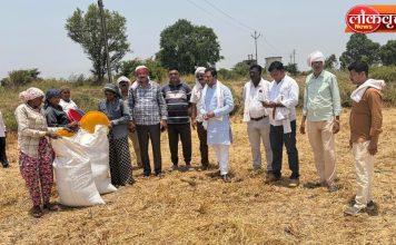 रानटी हत्तीच्या हल्ल्याने उद्ध्वस्त शेतीची काँग्रेस जिल्हाध्यक्षांकडून पाहणी